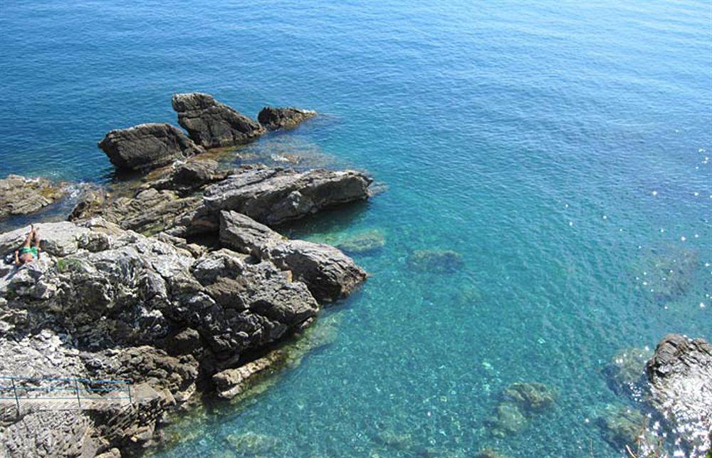 Hotel Elena 3*