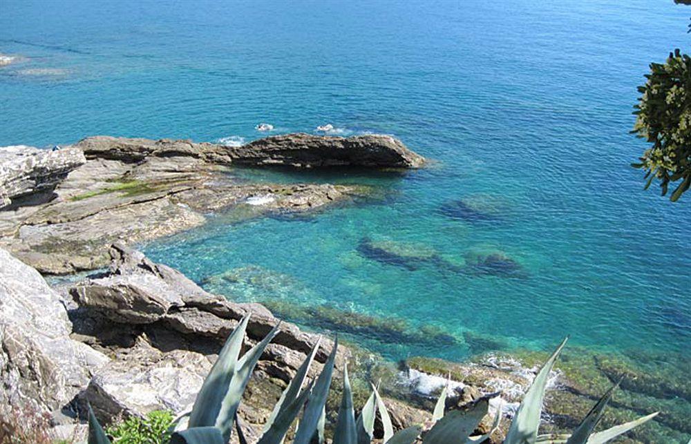 Elena 3* Recco